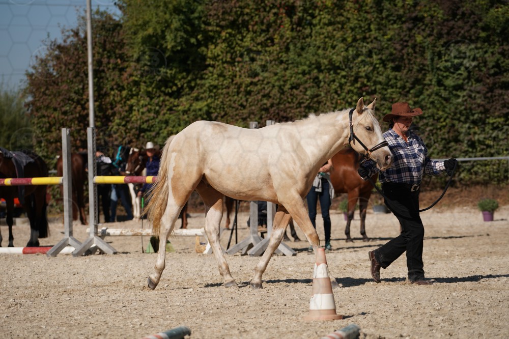 s_A_907517.JPG